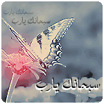 صور  اسلامية hayahcc_1366996067_843.gif