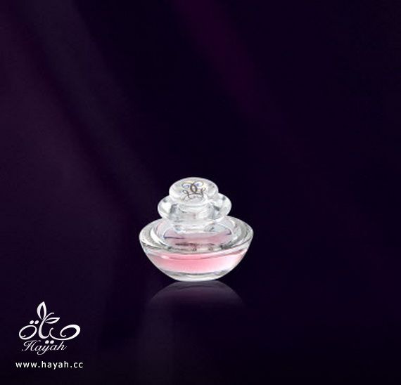 عطور رائعة للصبايا hayahcc_1367936716_102.jpg