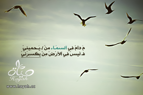 اجمل رمزيات البلاك بيرى اسلاميه 2014 , صور بى بى روعه , خلفيات بلاك بيرى 2014 hayahcc_1369513095_210.png