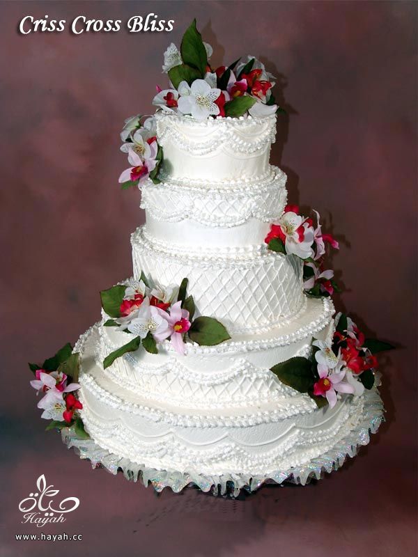 کیک اعراس ولا اجمل hayahcc_1374763855_449.jpg