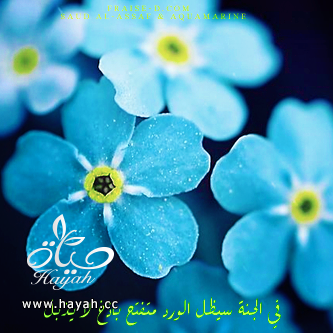 هي جنة طابت وطاب نعيمها , رمزيات كتابيه اسلامية للبلاك بيري 2014 hayahcc_1376467323_579.png