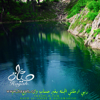 هي جنة طابت وطاب نعيمها , رمزيات كتابيه اسلامية للبلاك بيري 2014 hayahcc_1376467324_466.png