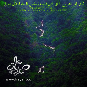 هي جنة طابت وطاب نعيمها , رمزيات كتابيه اسلامية للبلاك بيري 2014 hayahcc_1376467326_111.png