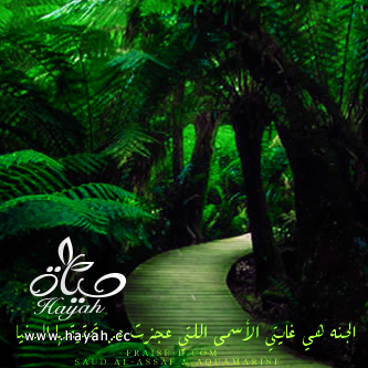 هي جنة طابت وطاب نعيمها , رمزيات كتابيه اسلامية للبلاك بيري 2014 hayahcc_1376467326_368.png