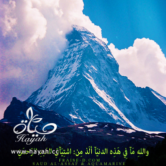 هي جنة طابت وطاب نعيمها , رمزيات كتابيه اسلامية للبلاك بيري 2014 hayahcc_1376467327_744.png