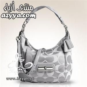 اروع شنط نسائية خقق 2014 ، حقائب شنط نسائية للمناسبات 2014 hayahcc_1377584855_463.jpg