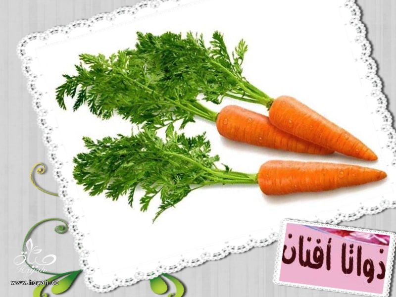 الجزر مو بس للنظر hayahcc_1385680500_136.jpg