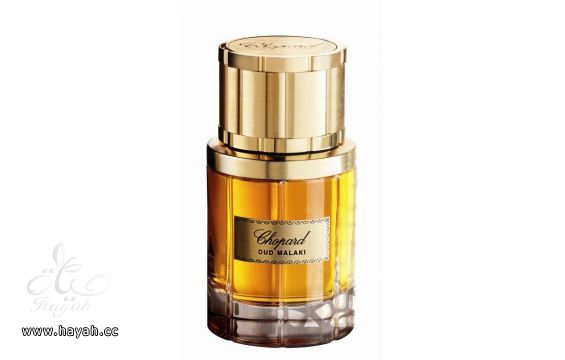 عطور بفخامه اصيله للمرأه الجريئه hayahcc_1393253059_160.jpg