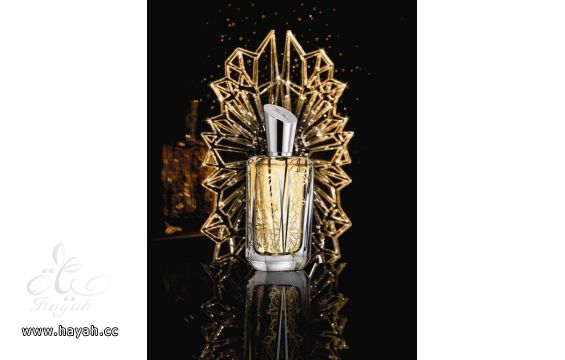 عطور بفخامه اصيله للمرأه الجريئه hayahcc_1393253059_531.jpg