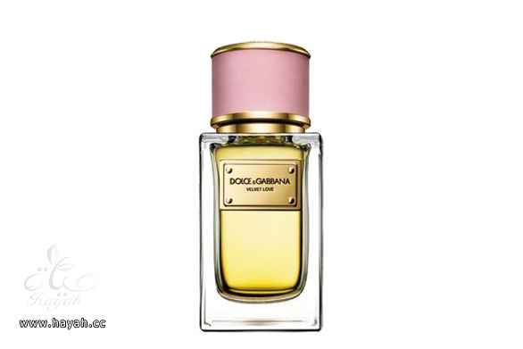 عطور ورديه للمرأه الرومانسيه hayahcc_1395106811_848.jpg