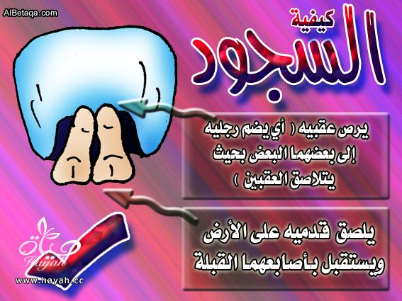 (*·.¸(`·.¸ الطريقة الصحيحة للسجود بالصور¸ + هدية من القلب للجميع .·´)¸.·*) hayahcc_1396049921_497.jpg