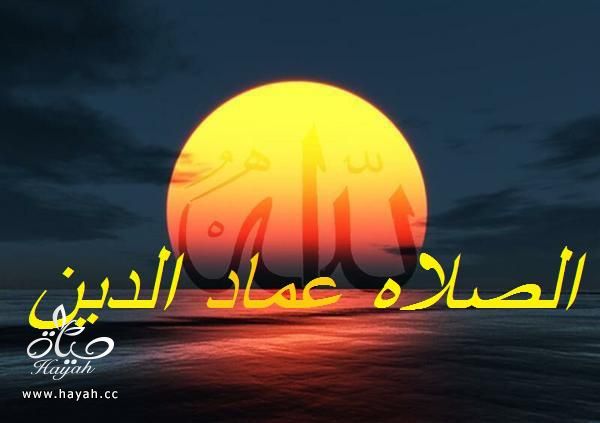 (*·.¸(`·.¸ الطريقة الصحيحة للسجود بالصور¸ + هدية من القلب للجميع .·´)¸.·*) hayahcc_1396049921_665.jpg