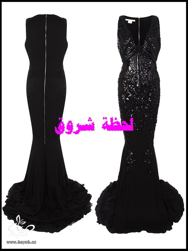 Evening Dresses hayahcc_1396711013_346.jpg