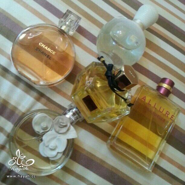 3عطور فرنسية بــ 290 ريال و3عطور هديه hayahcc_1397184147_974.jpg