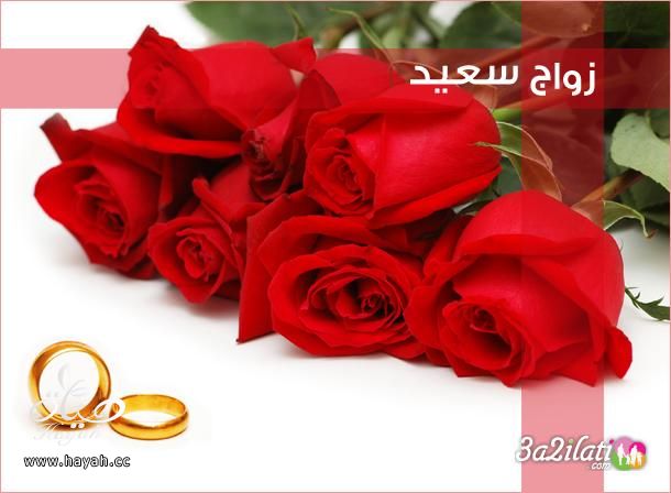 أساسيات الزواج السعيد hayahcc_1419344321_652.jpg