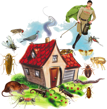 شركة مكافحة حشرات بالرياض 0532723025 hayahcc_1425490006_797.gif