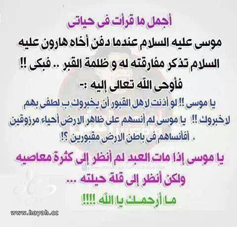 ما أعظم رحمة الله hayahcc_1426925962_625.jpg