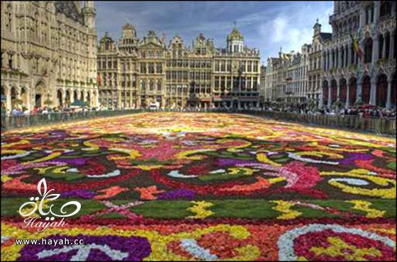 السياحة في بلجيكا hayahcc_1427625001_856.jpg