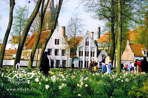 السياحة في بلجيكا hayahcc_1427625007_989.jpg