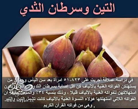 التين وسرطان الثدي hayahcc_1431879268_279.jpg