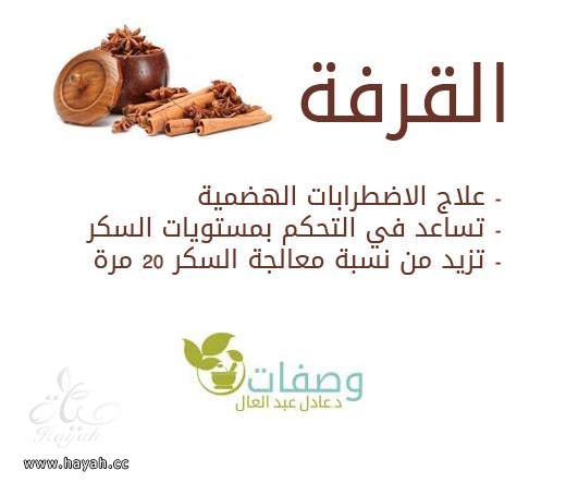 فوائد القرفة hayahcc_1435140566_996.jpg