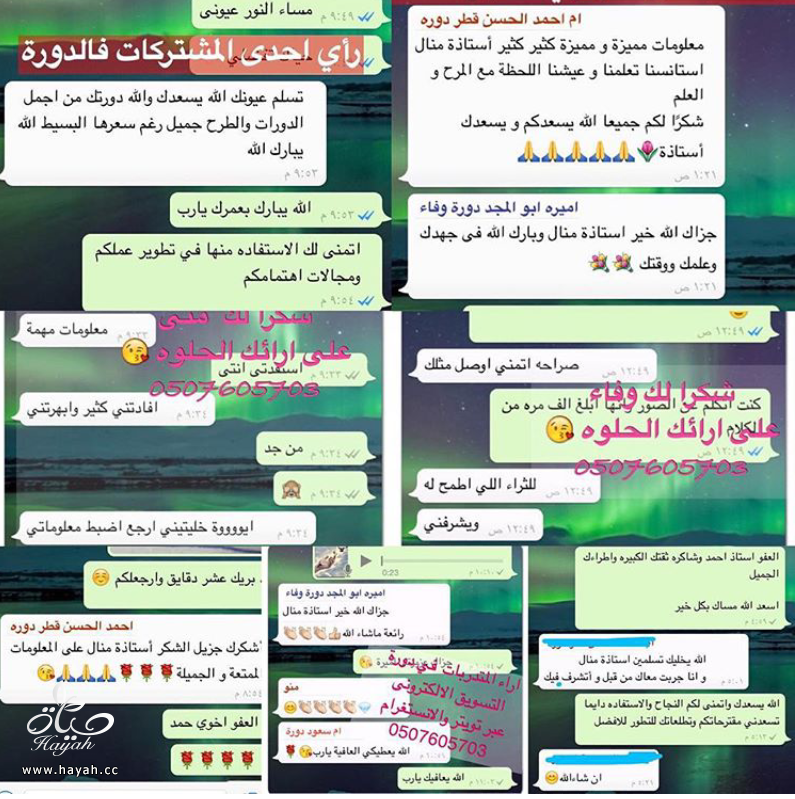 البرنامج الذي سيمكنك من التسويق لأعمالك بصوره فعاله hayahcc_1453144783_821.png