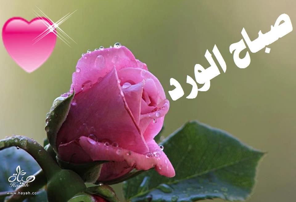 فساتين سهرة hayahcc_1469930786_362.jpg